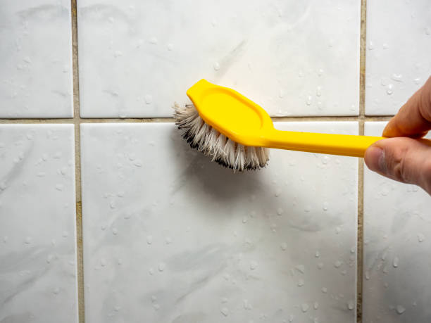 Best Black Mold Remediation in Rmel Valley Village, CA