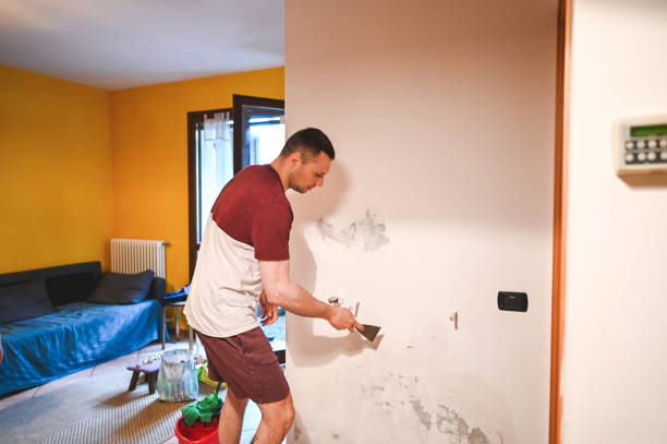 Best Crawl Space Mold Remediation in Rmel Valley Village, CA